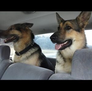 Meet your Posher, Jacque